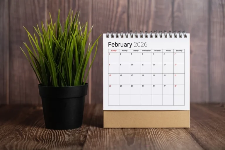Calendar of the month of February 2026 placed next to a grass plant